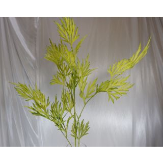 Celery Leaf - 10 colours