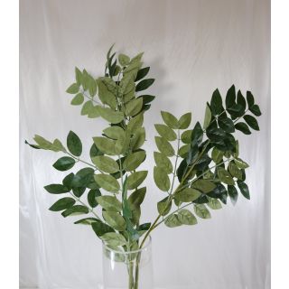 Rose leaf stem #1