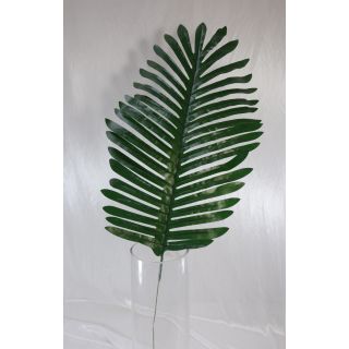 Palm Leaf (L)