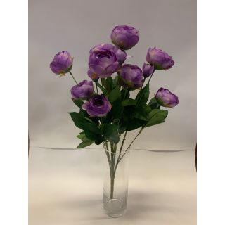 15 head Ranunculus Purple