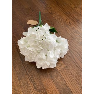 6 Head Large Hydrangea White (Pure)